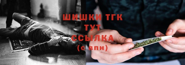 гидра Армянск
