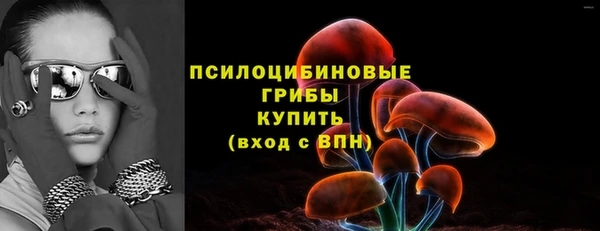 эйфоретик Арсеньев