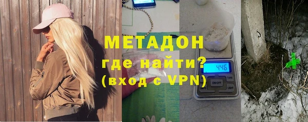 прущие грибы Аркадак