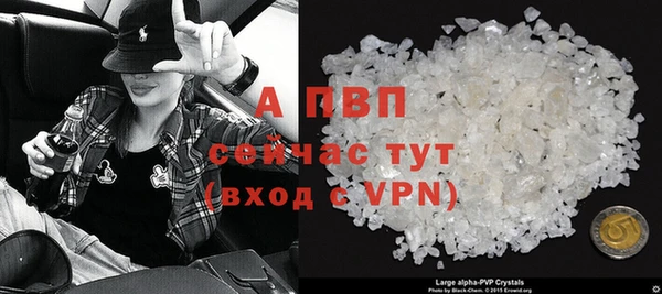 прущие грибы Вязники