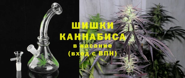 эйфоретик Арсеньев