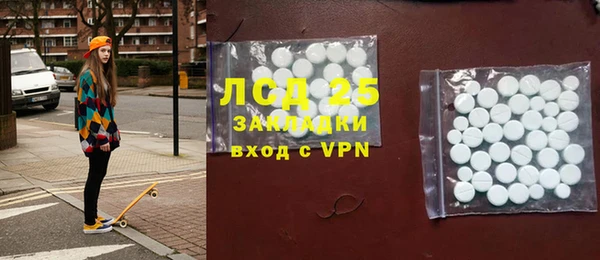 прущие грибы Аркадак
