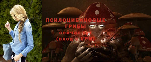 гидра Армянск