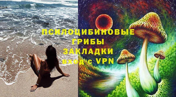 эйфоретик Арсеньев