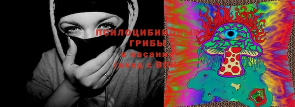 гидра Армянск