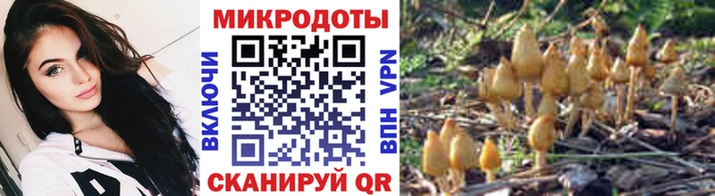 Галлюциногенные грибы Psilocybine cubensis Мамадыш